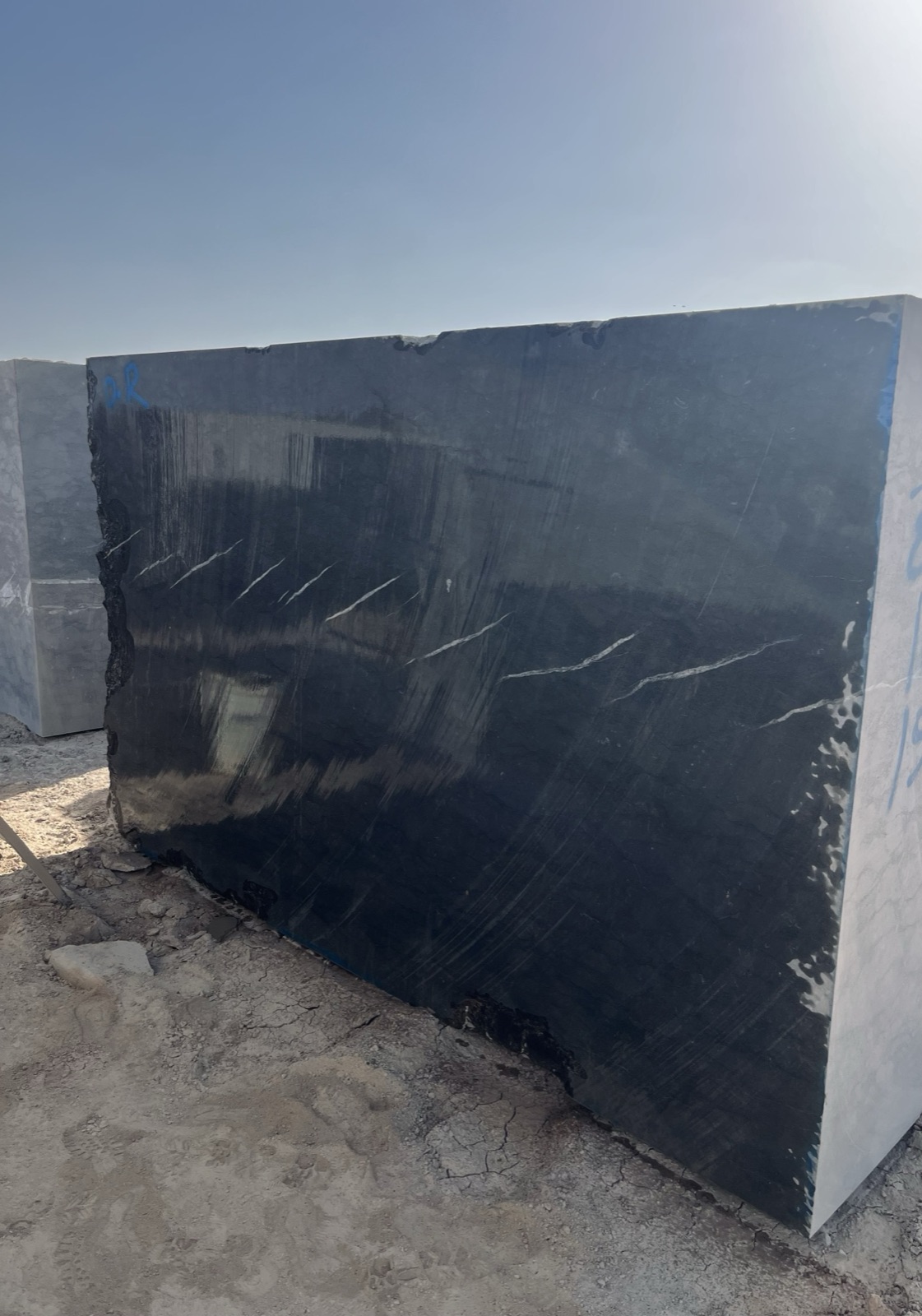 Black Zebra Block 5